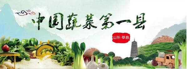 山东莘县：借助瓜菜菌博览会，打造“中国蔬菜第一县”