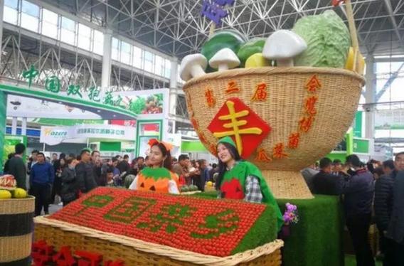 山东莘县：借助瓜菜菌博览会，打造“中国蔬菜第一县”