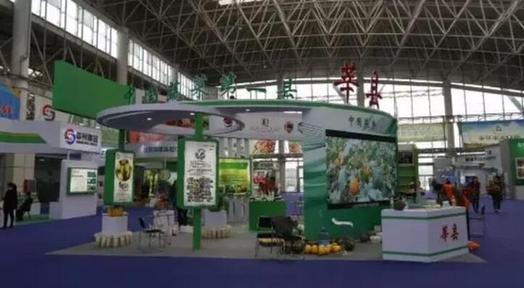 山东莘县：借助瓜菜菌博览会，打造“中国蔬菜第一县”