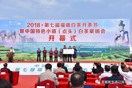福鼎:一片地,一杯茶,一群人,一条心