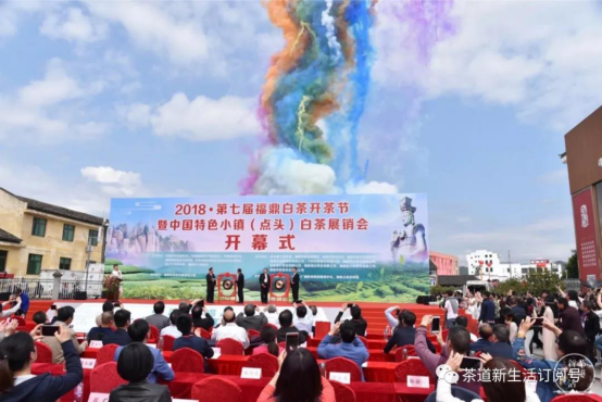 福鼎:一片地,一杯茶,一群人,一条心